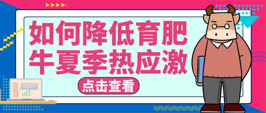 從管理和營養(yǎng)上教會(huì)你如何應(yīng)對育肥牛夏季熱應(yīng)激